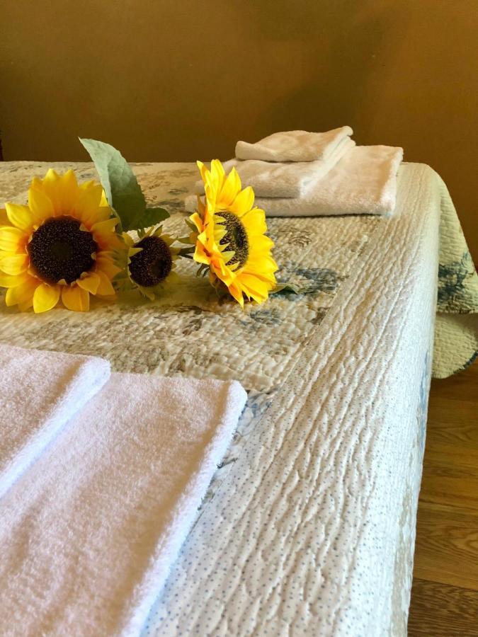 Fontebella Bed & Breakfast Montemarciano Ngoại thất bức ảnh