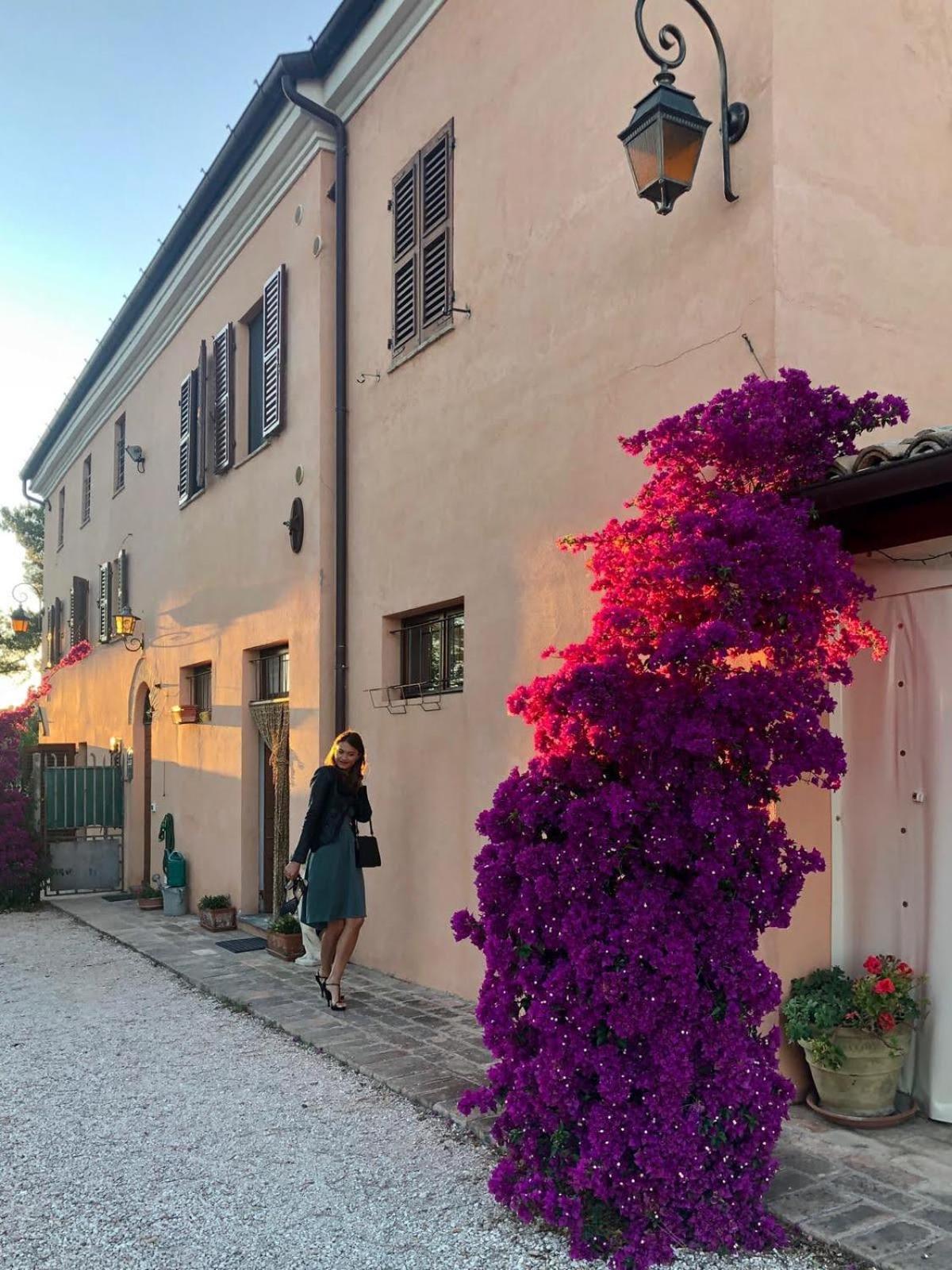 Fontebella Bed & Breakfast Montemarciano Ngoại thất bức ảnh